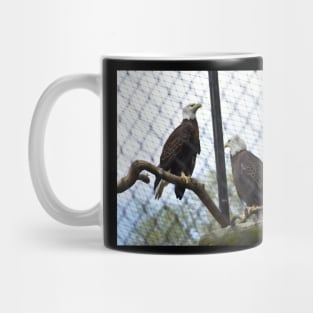 Bald Eagles Mug